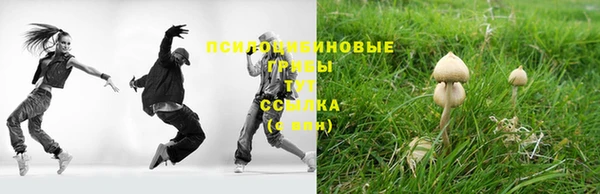 сатива Усолье-Сибирское