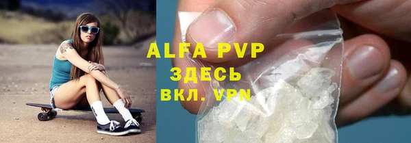 крисы Магас
