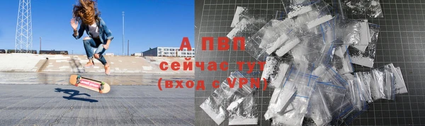 стафф Магадан